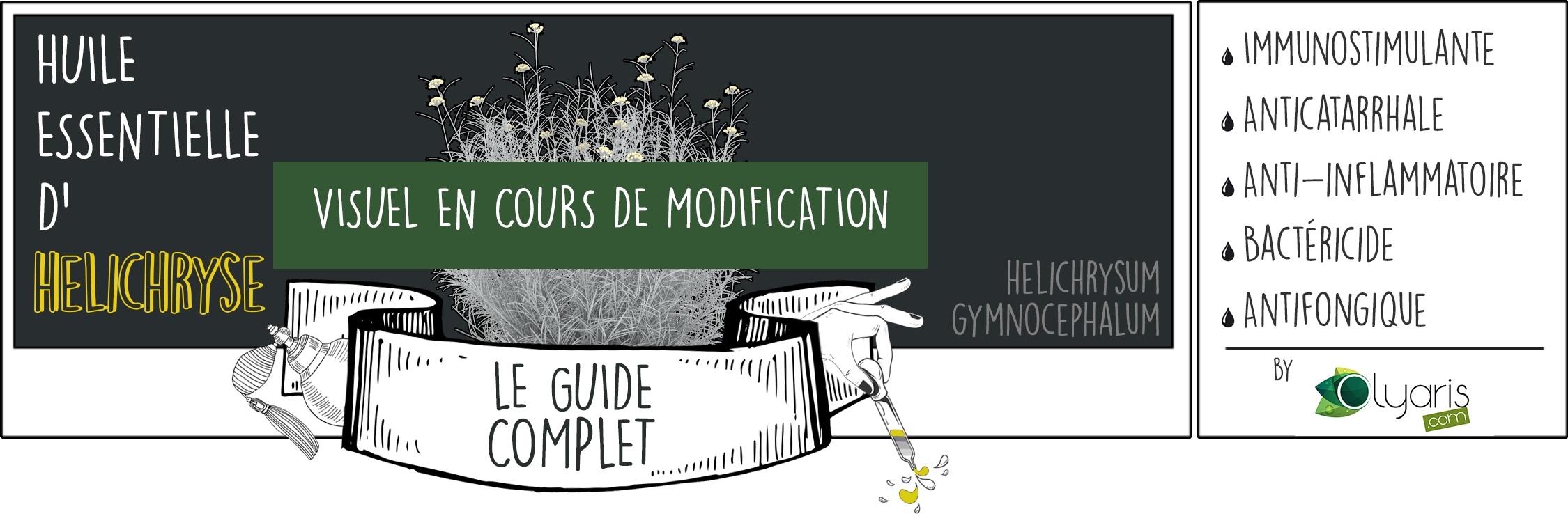 Huile Essentielle de Lemongrass: le Guide Complet - Olyaris